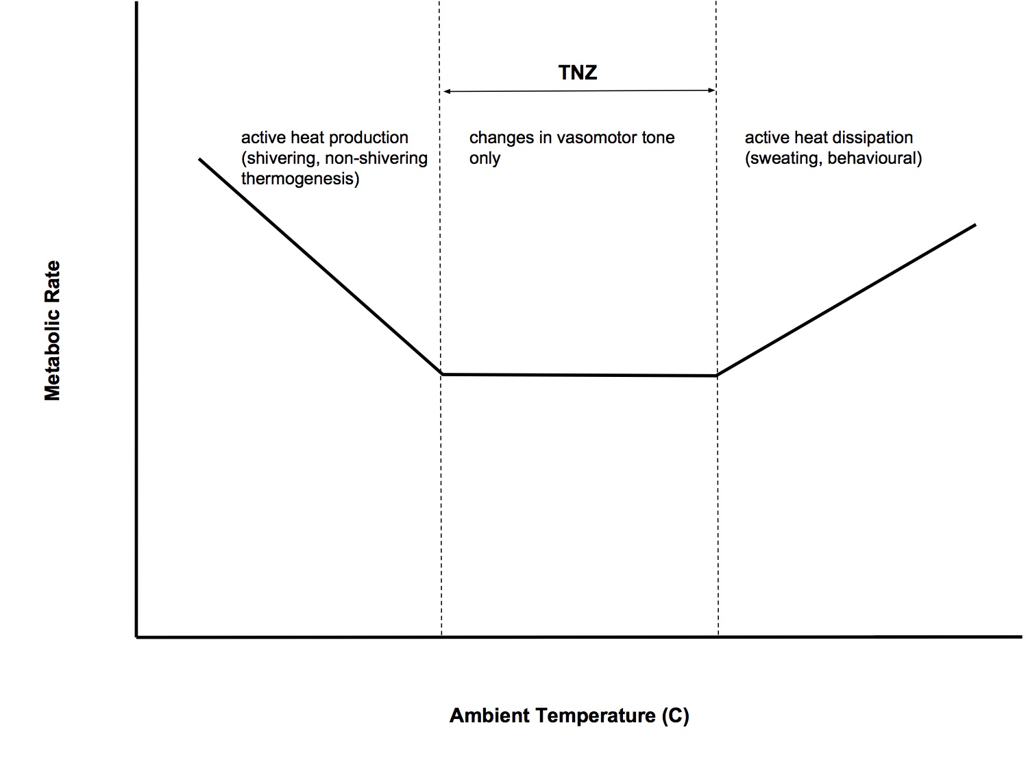 thermoregulation